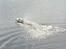 Båd EP Racing Boat
