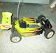 Buggy Winner sport