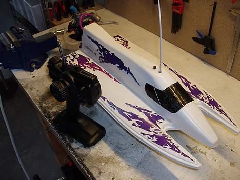 Båd dolphin  billede 1