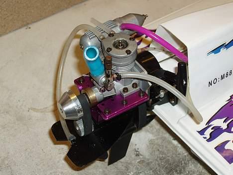 Båd dolphin  billede 2