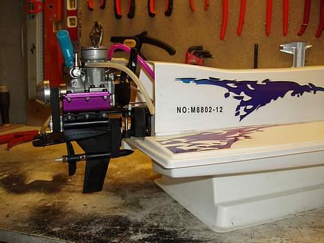 Båd dolphin  billede 4