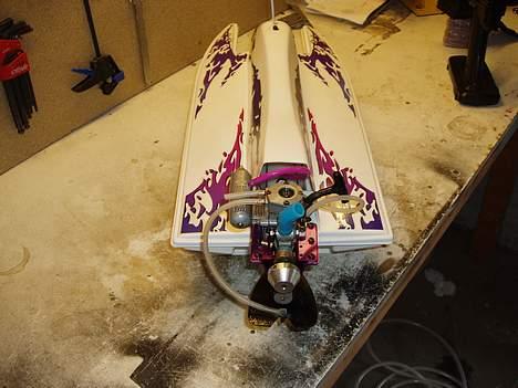 Båd dolphin  billede 5