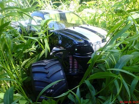 Truck  fg monster truck billede 5