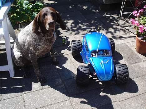 Truck fg beetle solgt til ven  billede 9