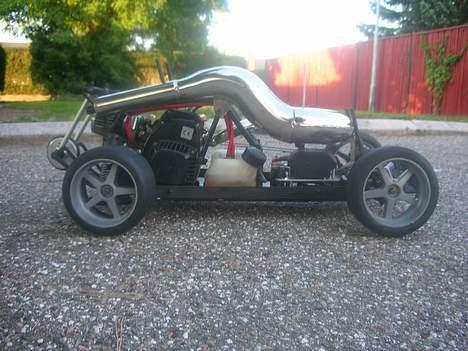 Bil fg  (monster beetle) billede 11