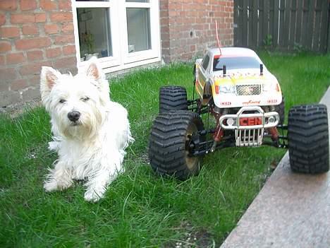 Off-Roader Genesis46 LE  ** SOLGT ** billede 9