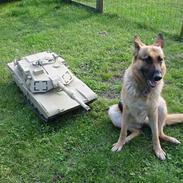 Militær ABRAMS M1A1