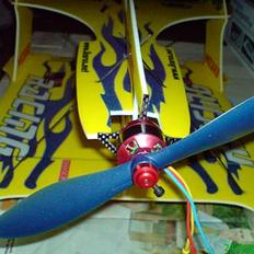 Fly Ikarus Wizard