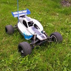 Buggy Cen Talon NX *solgt*