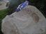 Bil gtr hbx touring 4 wd - HOLD FAST