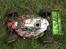 Buggy Ho-Boa Hyper 7 TQ Sport
