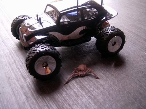 Truck Team Losi Mini-T - Der var lige en Huntsman der havde gemt sig i karossen. Og jeg kan ikke li edderkopper. billede 6