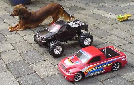 Bil Tamiya TT-01    (SOLGT) - Mine biler og min hund Fie der leger bil.. Roadhawken forest og Cross tigeren bagerst.. billede 9