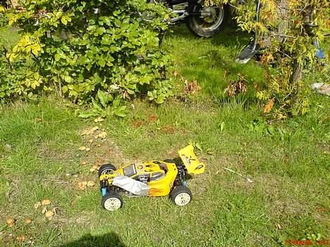 Buggy Condor billede 3