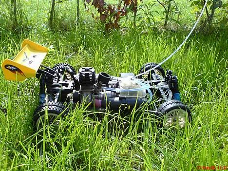 Buggy Condor billede 10