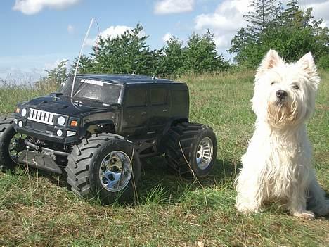 Off-Roader FG Hummer HT ** SOLGT ** - Hr Hummer & Hr Hund billede 17