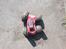 Buggy Rebound 4x4
