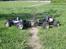Truck Hpi Savage 25 LE