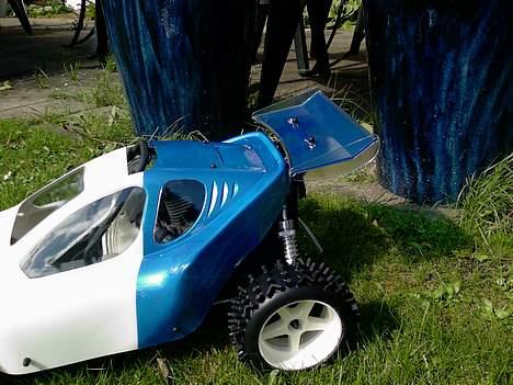 Buggy FG Leopard Race (Solgt)  - Vingen er blå med klar kant billede 4