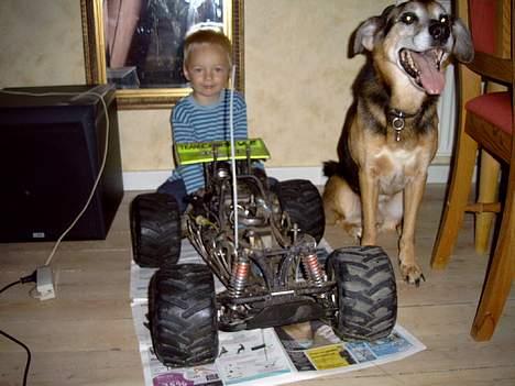 Bil CEN fun factor MT2 SOLGT - knægt, hund og nøgen MBP billede 11