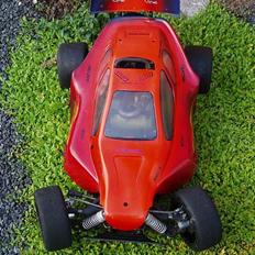 Buggy FG Leopard Race ( SOLGT )