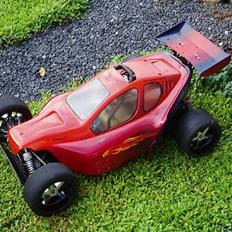 Buggy FG Leopard Race ( SOLGT )