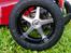 Buggy FG Leopard Race ( SOLGT )