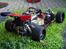 Buggy FG Leopard Race ( SOLGT )