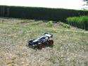Buggy Tamiya Avante 2001
