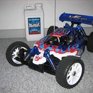 Buggy Kyosho Inferno US Sports