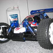 Buggy Kyosho Inferno US Sports