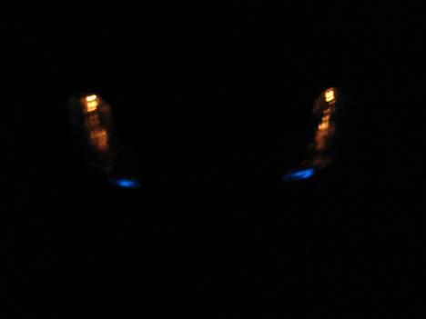 Bil porsche 911 - for lygterne billede 8