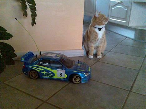 Bil Subaru imprazza billede 7