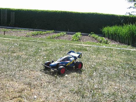 Buggy Tamiya Avante 2001 billede 1