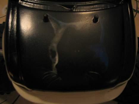 Off-Roader FG BluezCat´en billede 1