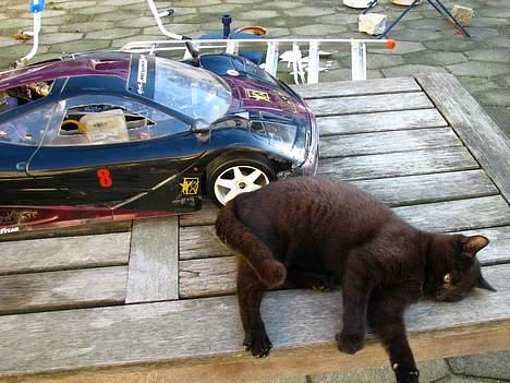 Bil Carson/FG? billede 3