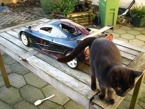 Bil Carson/FG? billede 6