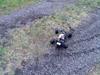 Off-Roader Kyosho Ultima ST $$
