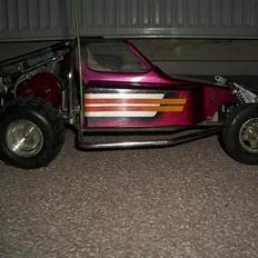 Buggy Tamiya Modified S. Champ