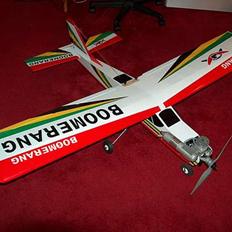 Fly Seagul Boomerang Trainer 