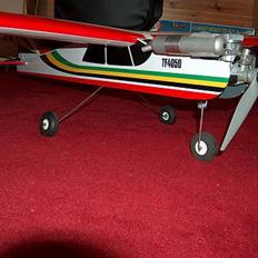 Fly Seagul Boomerang Trainer 