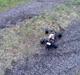 Off-Roader Kyosho Ultima ST $$