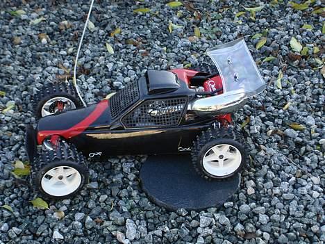 Buggy fg marder billede 15