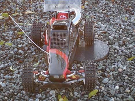 Buggy fg marder billede 16