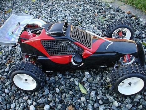 Buggy fg marder billede 18