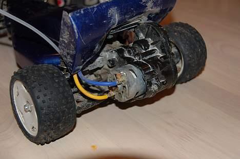 Buggy desert gator billede 3