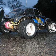 Bil blitzer beetle 