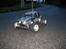 Bil blitzer beetle 