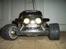 Bil blitzer beetle 