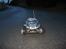 Bil blitzer beetle 